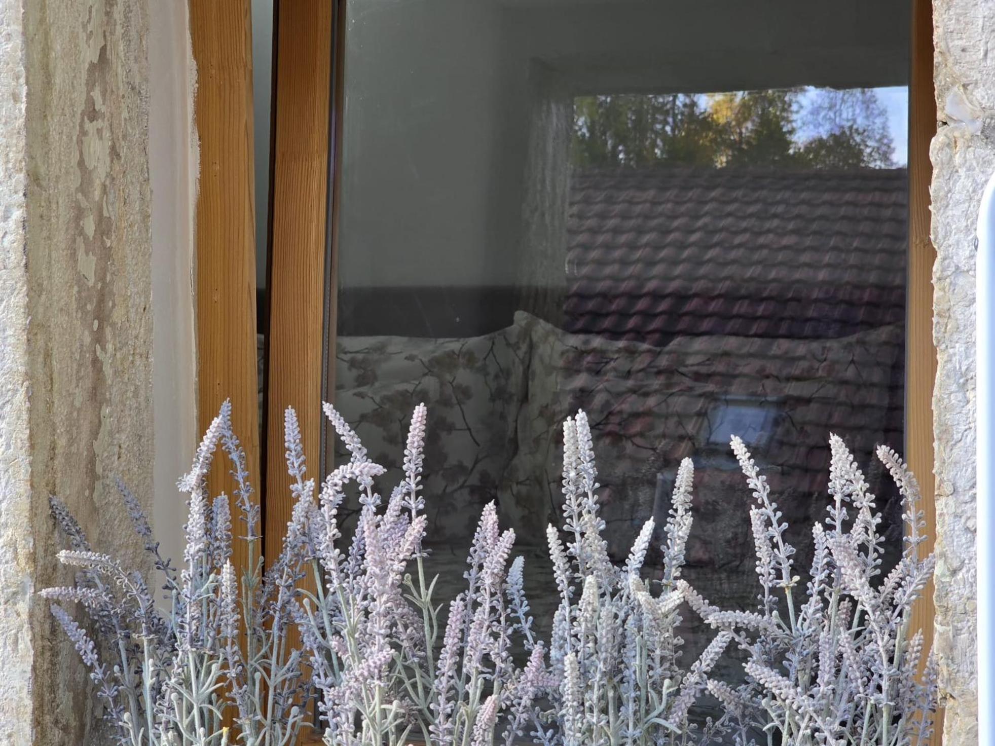 Apartament Babylone Orvin Zewnętrze zdjęcie